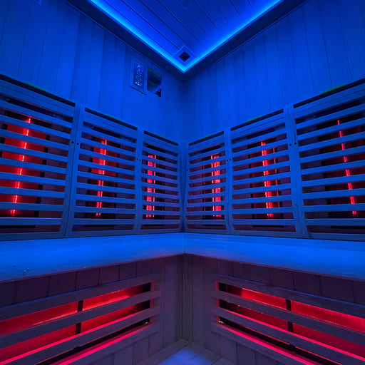 Insignia KY006 sauna, low angle view
