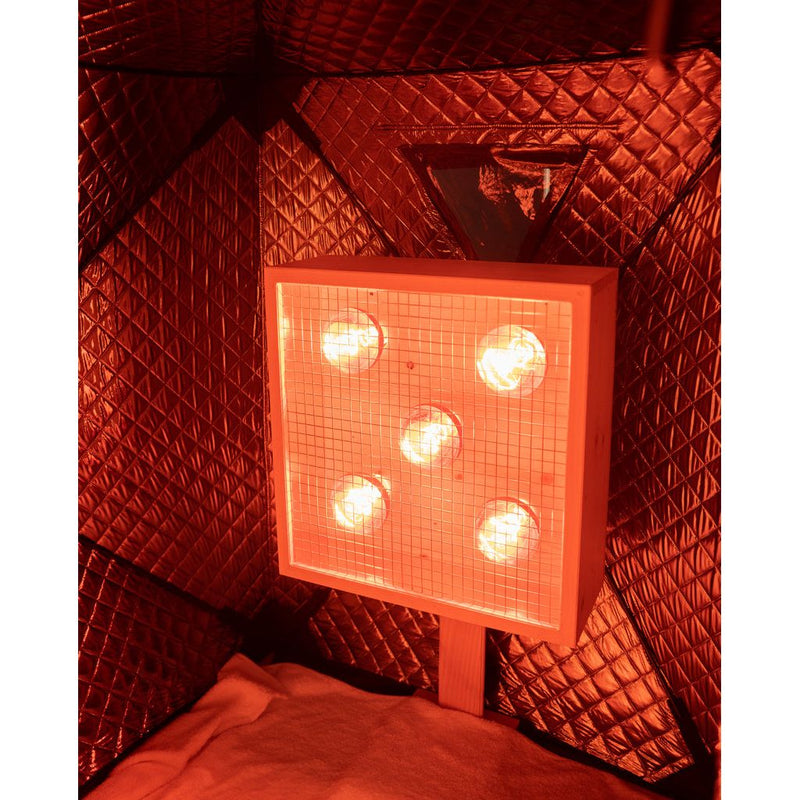 Prasanna infrared sauna pod interior